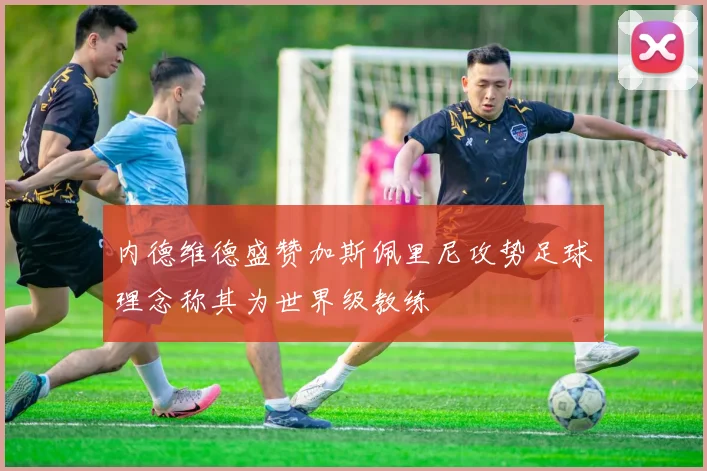 内德维德盛赞加斯佩里尼攻势足球理念称其为世界级教练