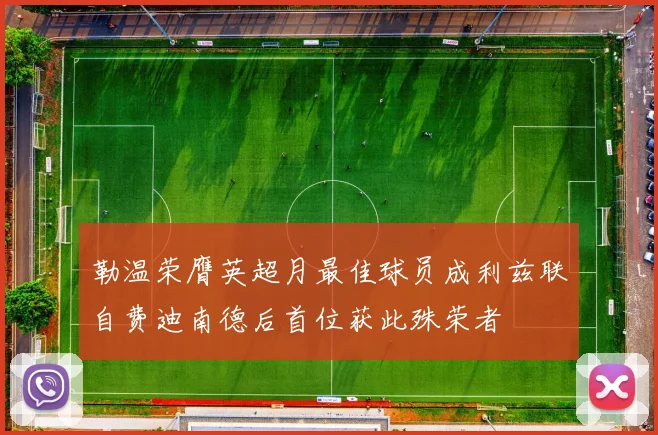 勒温荣膺英超月最佳球员成利兹联自费迪南德后首位获此殊荣者