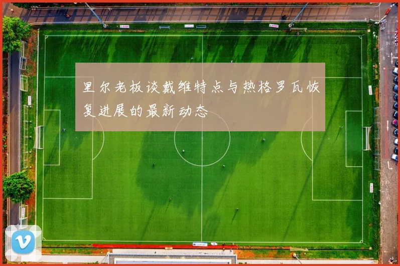里尔老板谈戴维特点与热格罗瓦恢复进展的最新动态