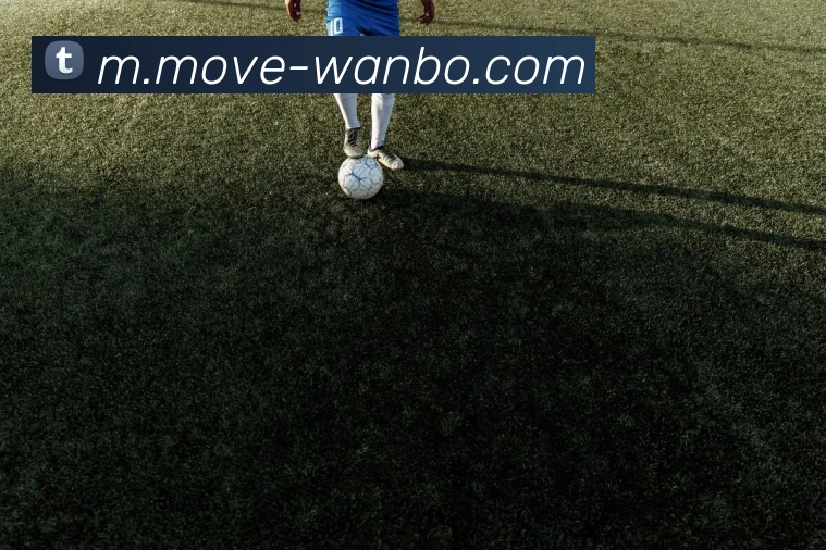 万博体育品牌故事