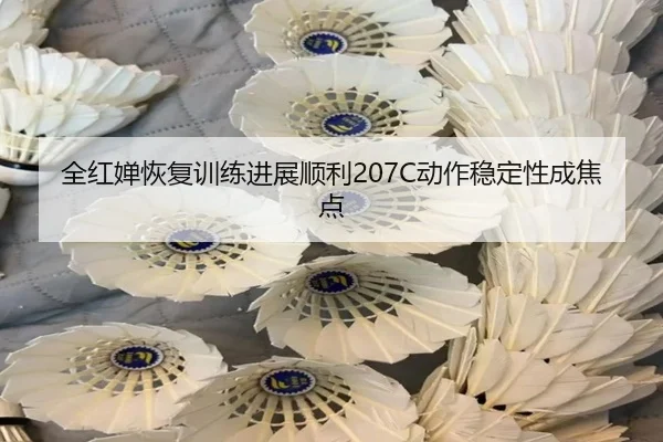全红婵恢复训练进展顺利207C动作稳定性成焦点 | ManBetX